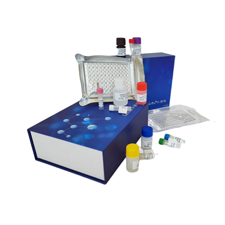 小鼠Elisa试剂盒 小鼠Elisa试剂盒