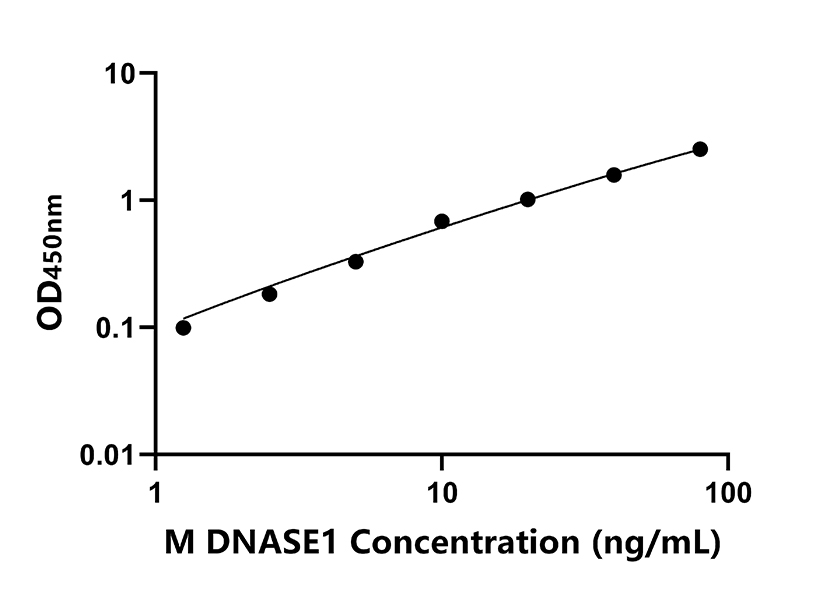 小鼠(DNASE1)ELISA试剂盒 小鼠(DNASE1)ELISA试剂盒